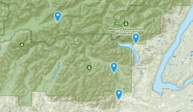 Lake Cushman, Washington Map