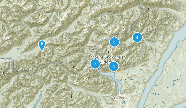 Lilliwaup, Washington Map