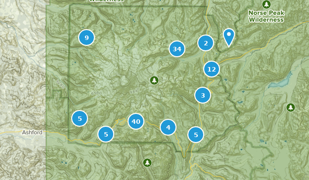 Longmire, État de Washington Map