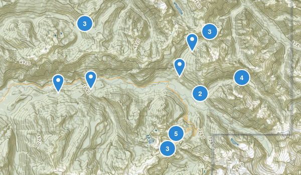 Maple Falls, Washington Map