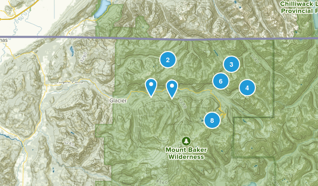 Maple Falls, Washington Map