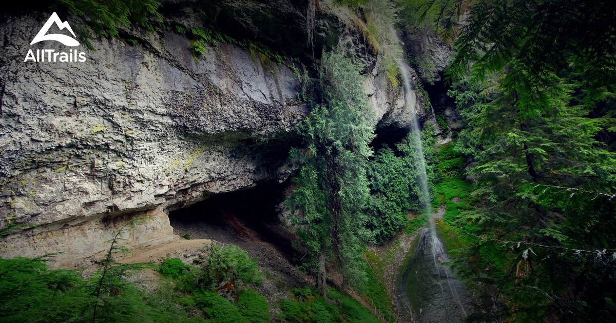 Best Trails near Morton Washington 86 Photos & 35 Reviews AllTrails
