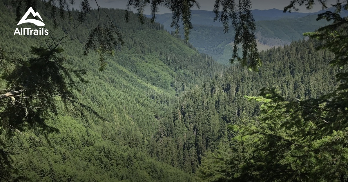Best Trails near Morton, Washington AllTrails