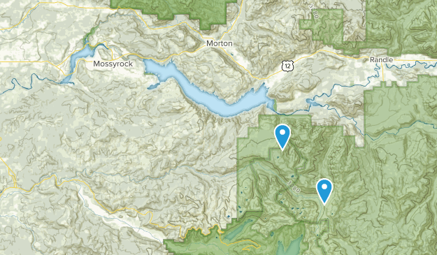Mossyrock, Washington Map