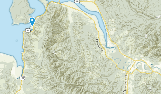 Naselle, Washington Map