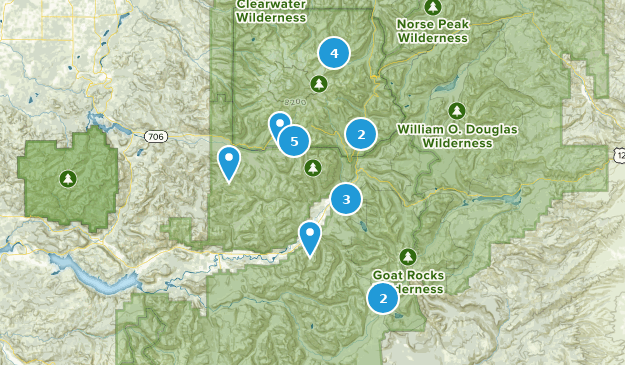 Packwood, Washington Map