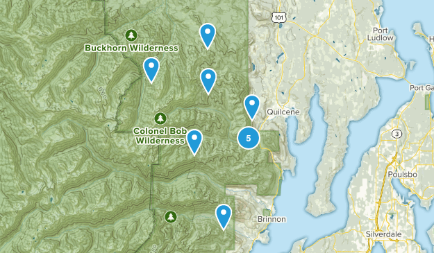 Quilcene, Washington Map
