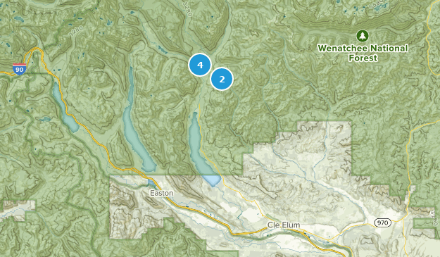 Ronald, État de Washington Map