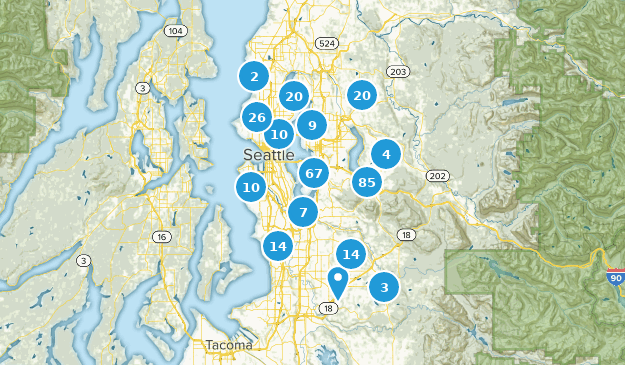 Seattle, Washington Map