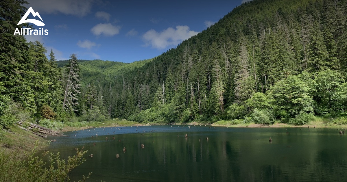 Best 10 Forest Trails In Shelton, United Landscaping Shelton Washington