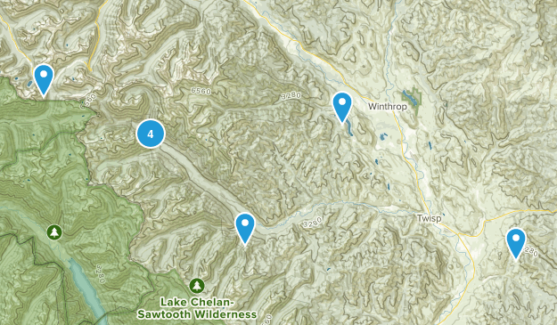 Twisp, Washington Map