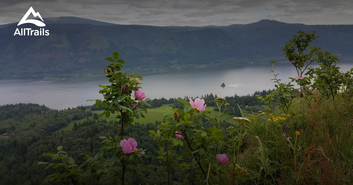 Best Trails near Washougal, Washington