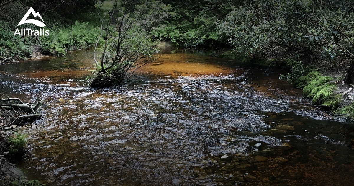 Best kidfriendly trails in Elkins AllTrails