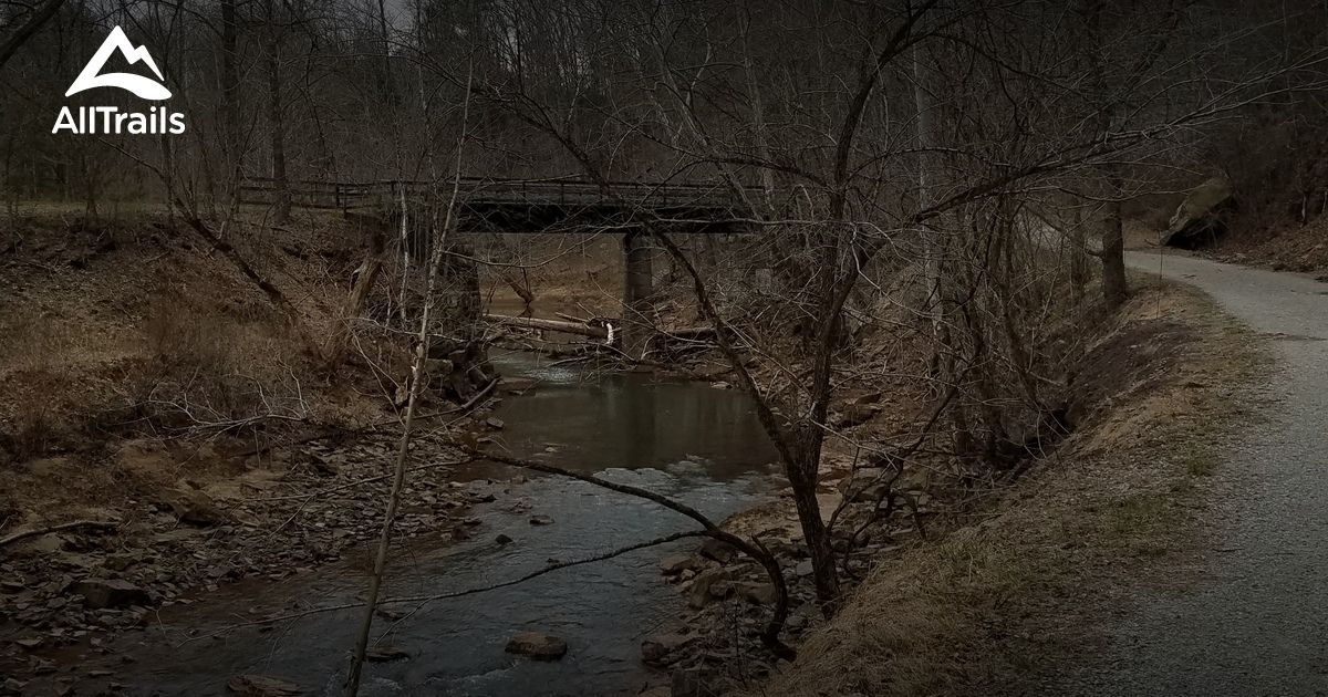 Best forest trails in Ellenboro AllTrails