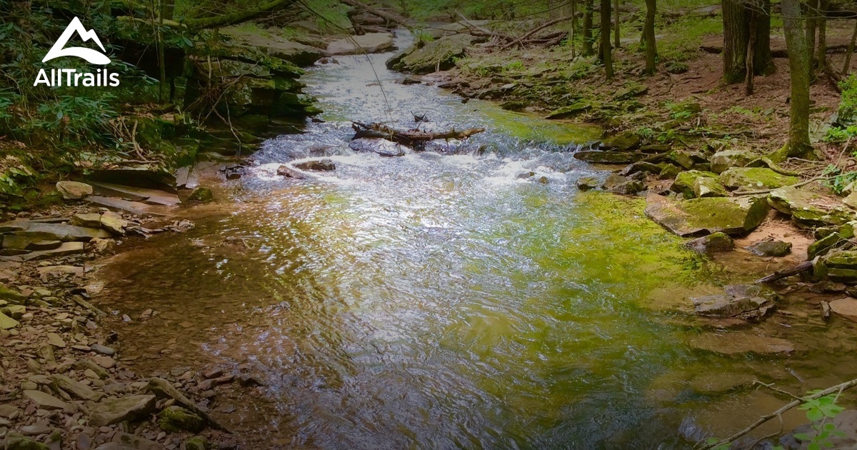 Best Trails near Hedgesville, West Virginia