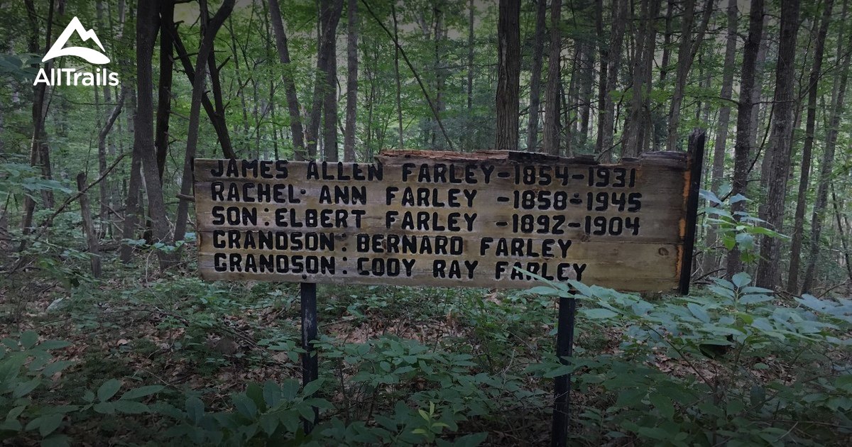 Best Trails near Jumping Branch, West Virginia AllTrails