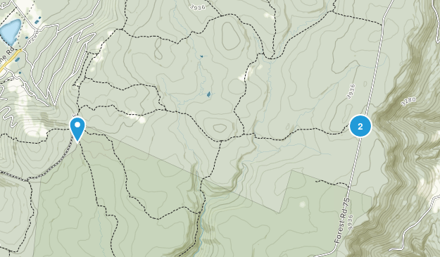 Parsons, West Virginia Map