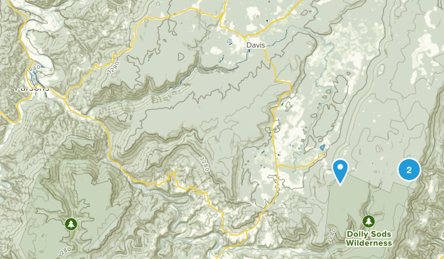 Parsons, West Virginia Map