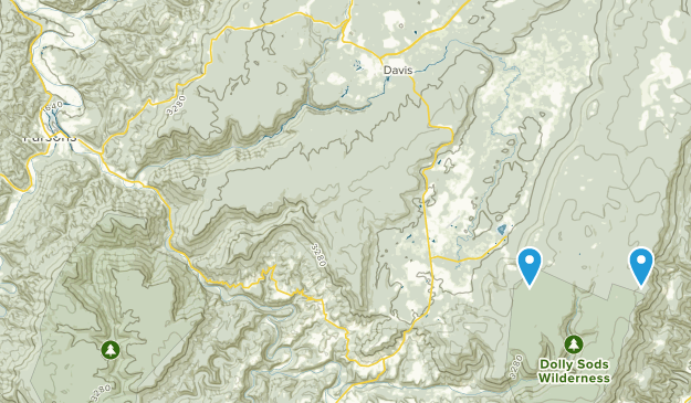 Parsons, Virginie-Occidentale Map