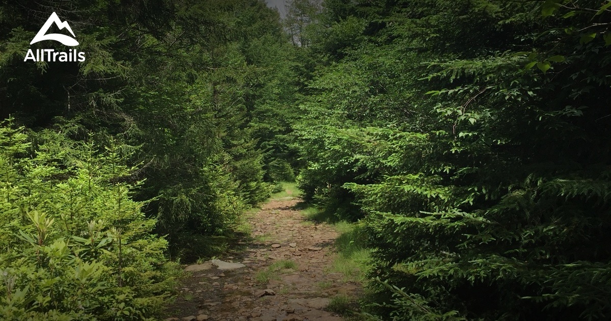 Best Trails near Parsons, West Virginia AllTrails