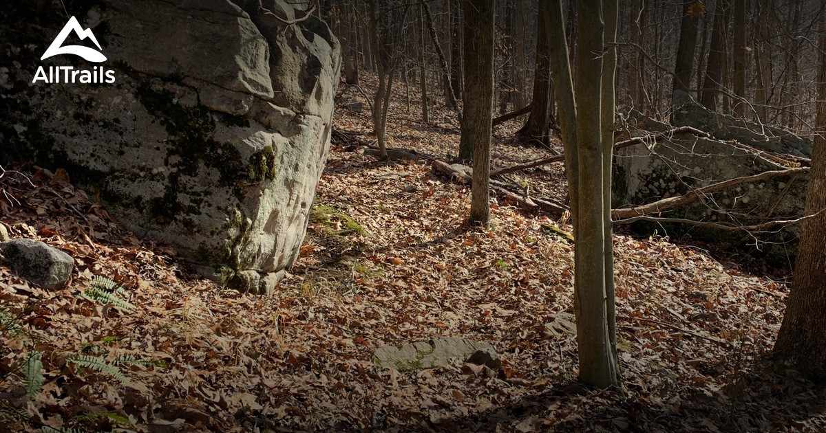 Best hikes and trails in Philippi AllTrails