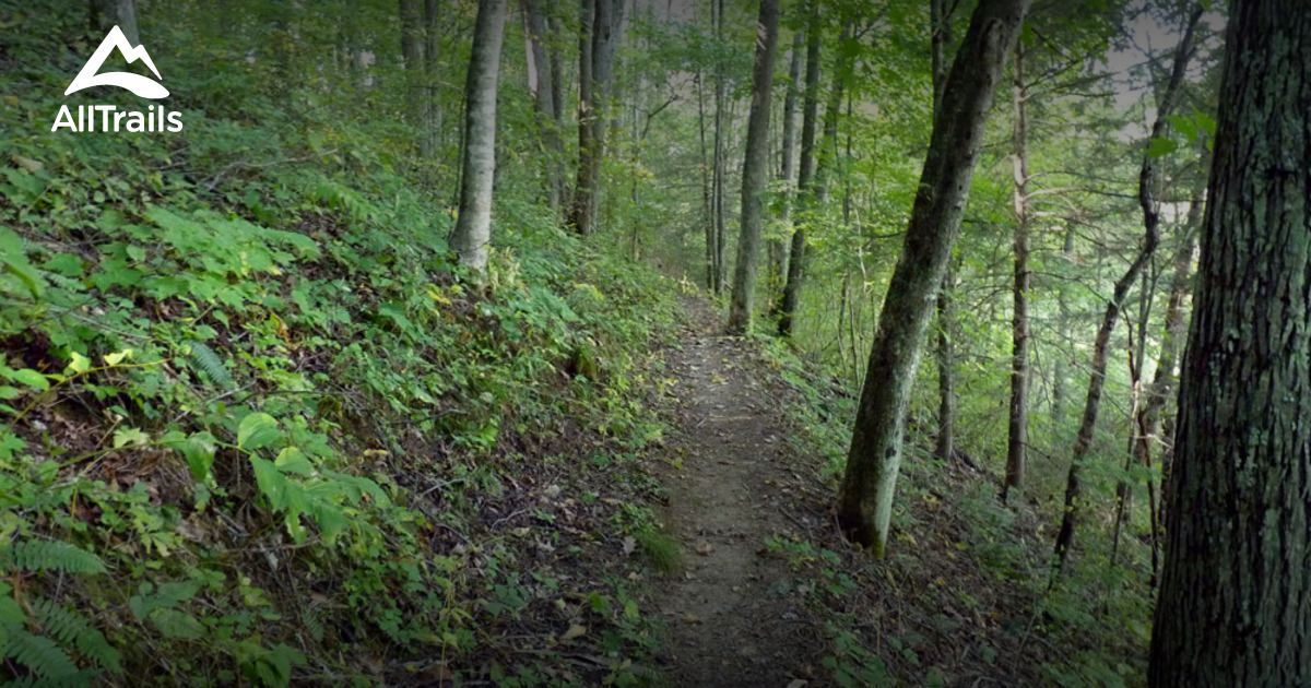 Best hikes and trails in Princeton AllTrails