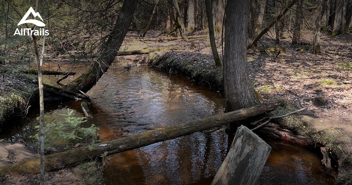 Best forest trails in Abrams | AllTrails