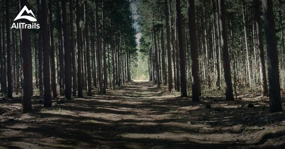 Best Trails near Black River Falls, Wisconsin | AllTrails