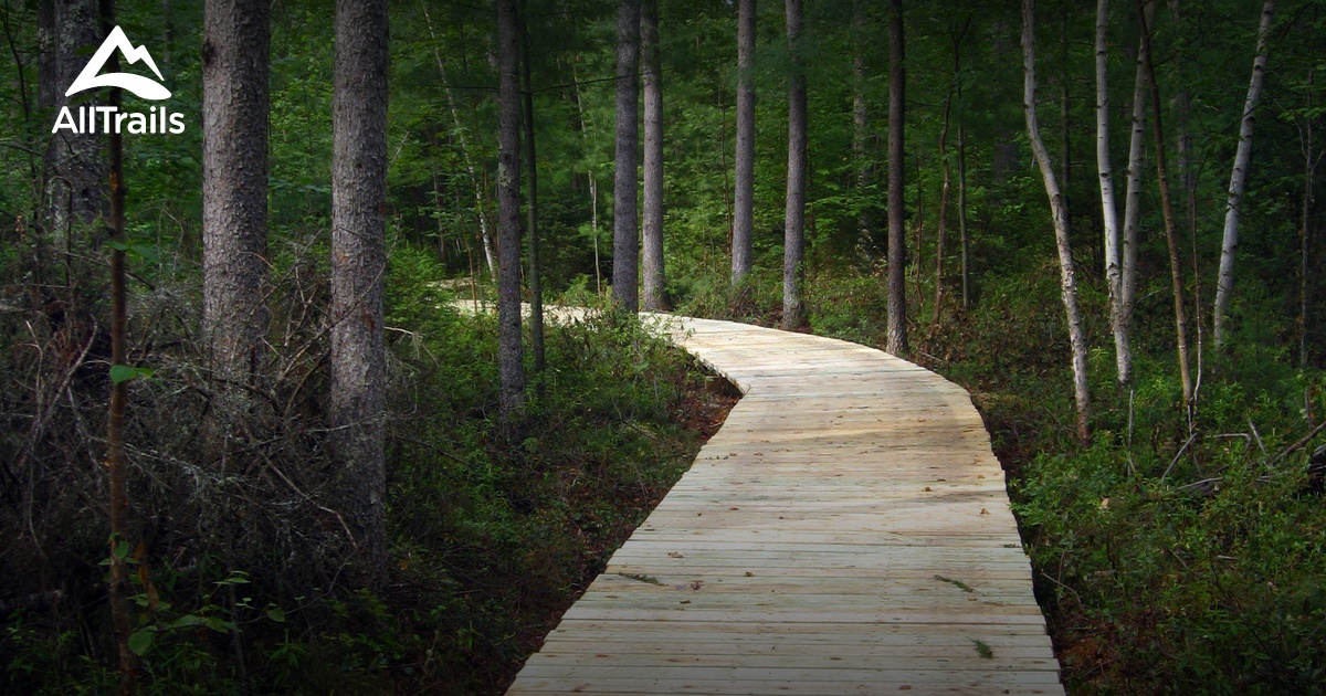 Best Trails near Boulder Junction, Wisconsin AllTrails
