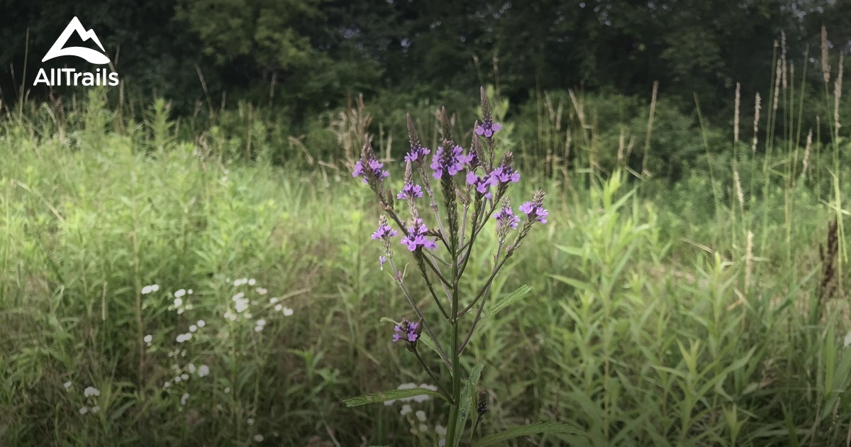 Best hikes and trails in Helenville AllTrails