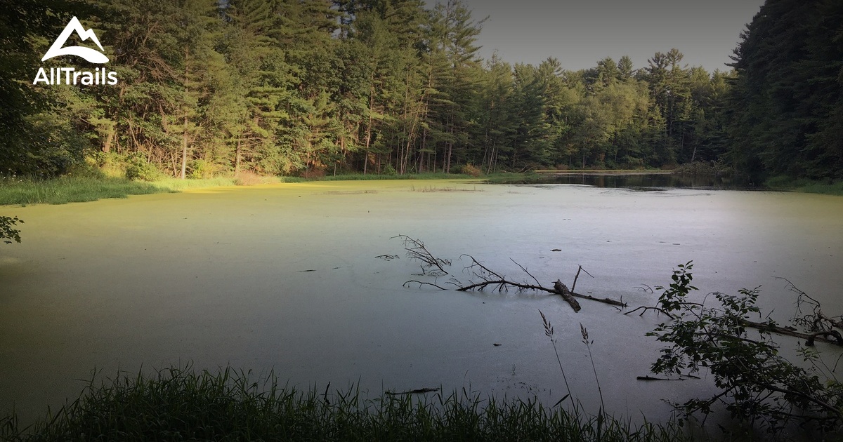 Best hikes and trails in Nelsonville AllTrails