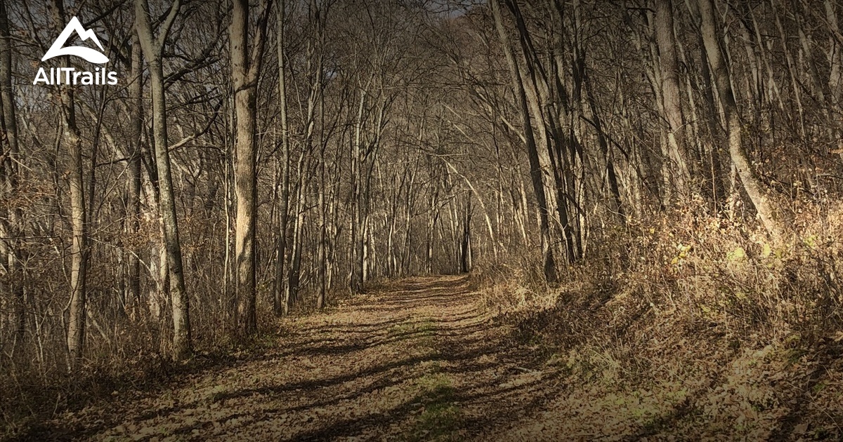 Best hikes and trails in Wauzeka AllTrails