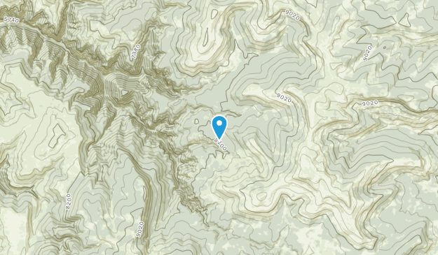 Kane, Wyoming Map