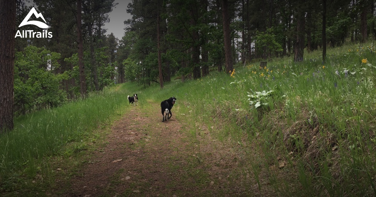 Best Trails near Sundance, Wyoming | AllTrails