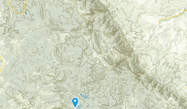 Wolf, Wyoming Map