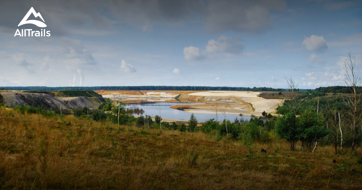 10 Best trails and hikes in Limburg | AllTrails