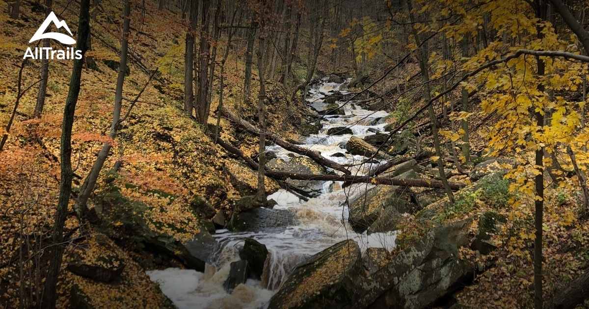 10 Best offroaddriving trails in Ontario AllTrails