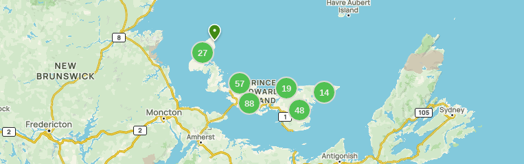 Mitchells on national map for country sporting sales 