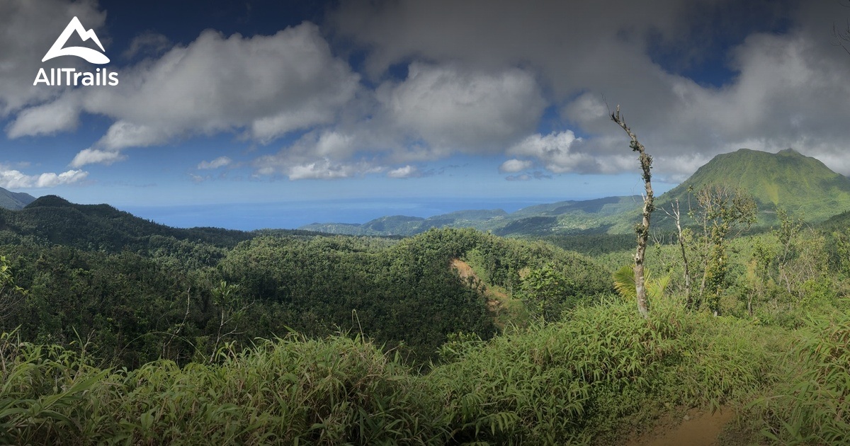 Best hikes and trails in Saint AllTrails