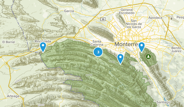 Nuevo León, Mexico Map