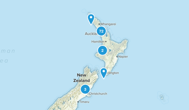 Auckland Region, New Zealand Map