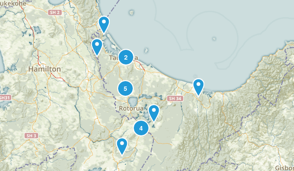 Bay of Plenty Region, New Zealand Map