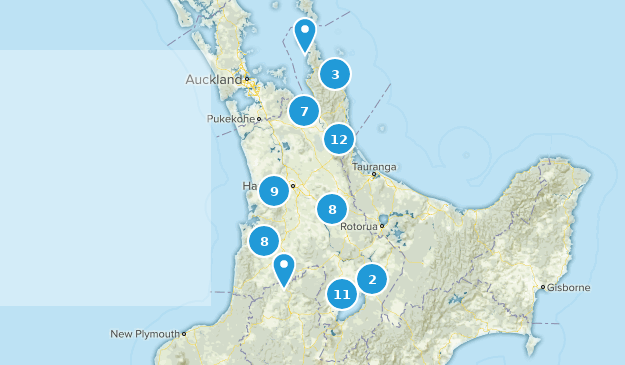 Waikato, New Zealand Map