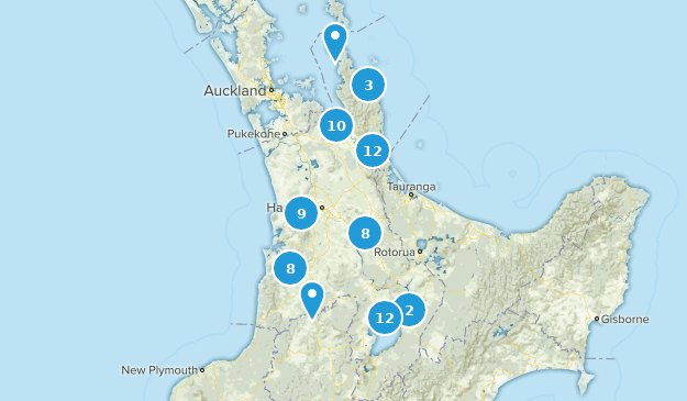Waikato, New Zealand Map