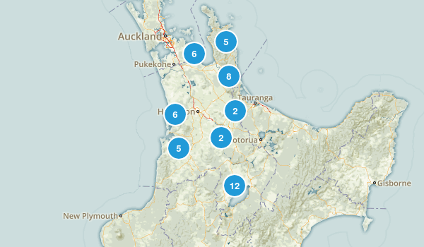 Waikato Region, New Zealand Map