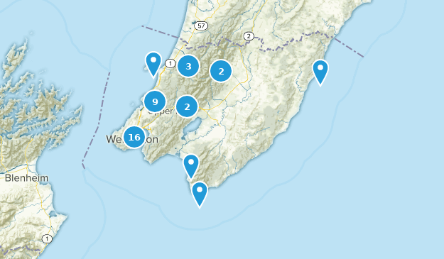 Wellington, New Zealand Map