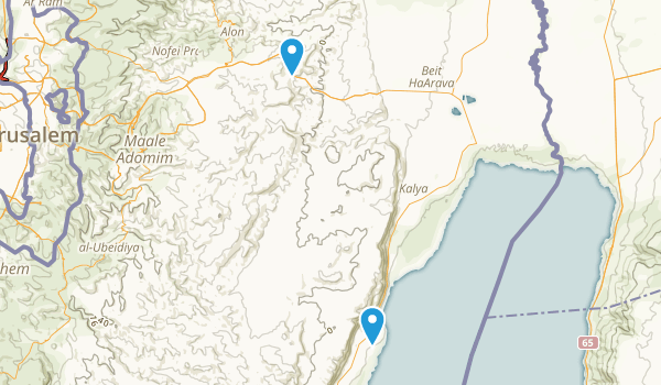 Jericho, Palestine Map