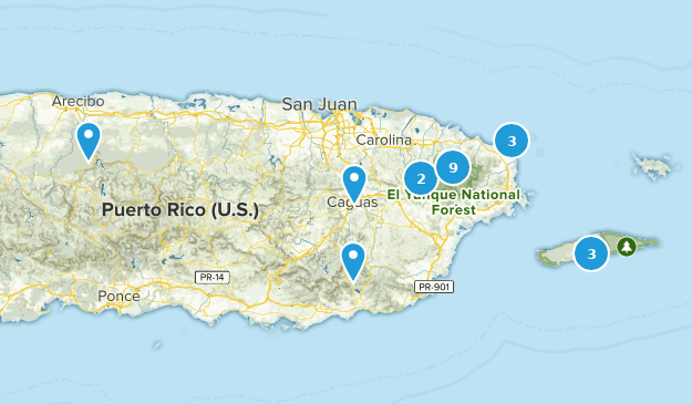 East Region, Puerto Rico Map