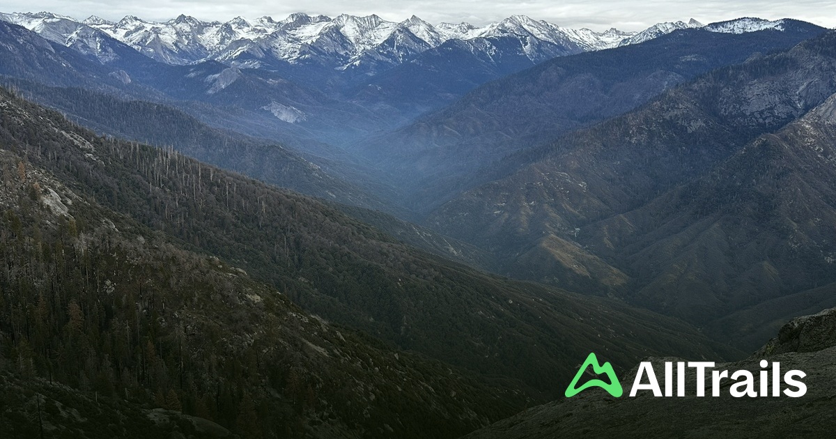 Buttress Tree - hikes and trails to get you there | AllTrails