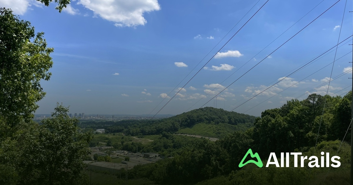 East Ride Overlooking Ebsco Overlook (East) - hikes and trails to get you there | AllTrails